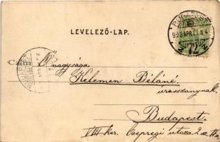 1903 Budapest XIV. Városliget, Wampetics F. vendéglője, kert pincérekkel. Divald Károly kiadása (EK)