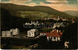 1908 Trencsénteplic, Trencianske Teplice; nyaralók völgye. Wertheim Zsigmond kiadása / Villental / villas (EK)