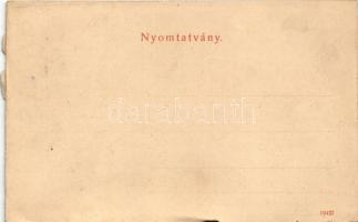 Herkulesfürdő, Baile Herculane; látkép, fürdő. Krizsány R. kiadása / Total / general view, spa (b)