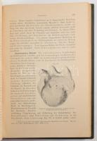 Eugen Fröhner: Kompendium der Speziellen Chirurgie für Trieräzte. Stuttgart, 1905, Ferdinand Enke, X...