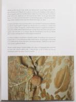 Csepregi Noémi: Dresszkód art deco. Bp., 2024, Iparművészeti múzeum, art deco ruhák és kiegészítők s...