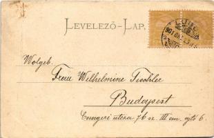 1901 Lugos, Lugoj; Színház. Auspitz Adolf kiadása / theatre (ázott sarkak / wet corners)