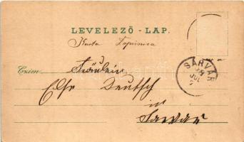 1898 Varasdfürdő, Warasdin-Töplitz, Varazdinske Toplice; Schloss, Villa Bauer, Chinesischer Pavillon...