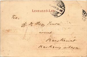 1905 Ungvár, Uzshorod, Uzhhorod, Uzhorod; látkép. Székely és Illés kiadása / view (vágott / cut)