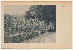 1927 Ménes, Minis; Villa. Feibusz Samu kiadása / villa (EK)