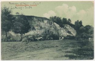 Nyárádszereda, Miercurea Nirajului; Szakadék. Csergőffy József kiadása / ravine (EM)