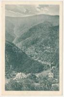 Nagyszeben, Hermannstadt, Sibiu; Uzinele electrice / Elektrizitätswerk Zentrale II. Jos. Drotleff / erőmű / electric power plant