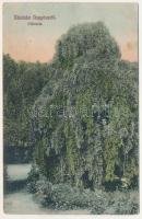 Nagyősz, Nagy Ősz, Triebswetter, Tomnatic; plébánia / parish (EK)