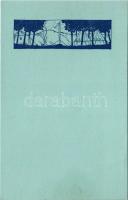 Cserkésztábor. Kiadja a 47. sz. P. C. F. Farkasőrs / Hungarian boy scout art postcard, scout camp