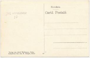 Pusztakalán, Kalán, Calan; Vasgyári igazgatói lakás. Adolf Wollmann, Jos. H. Briegel / Locuinta dire...