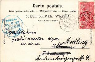 1900 Engadin, Gruss vom Hospiz Bernina / hotel, mountain rest house. Art Nouveau, floral (EB)