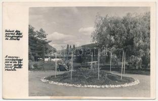 Marosszentgyörgy, Maros-Szent-György, Sangeorgiu de Mures, Sangeorgiul-Roman; Vederii din parcul Baii Sangeirgiul de Mures / park részlet a jód- sós- reuma gyógyfürdőből / salt bath, spa, park. photo (fa)