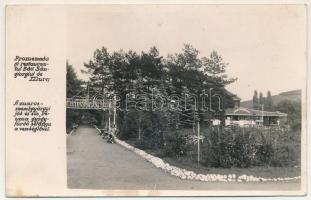 Marosszentgyörgy, Maros-Szent-György, Sangeorgiu de Mures, Sangeorgiul-Roman; Promenada si restaurantul Baii Sangeirgiul de Mures / a jód- sós- reuma gyógyfürdő sétánya a vendéglővel, étterem / salt bath, spa, promenade, restaurant. photo (fa)