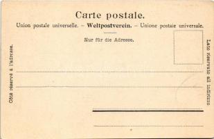 Wengernalpbahn, Mönch und Jungfrau / Wengernalp Railway, rack railway, locomotive, train (EK)