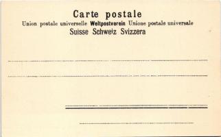 Zürich, Zurich; Waldhaus Dolder / funicular