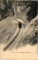 Rochers de Naye, Chemin de fer des Rochers de Naye / rack railway, train (EK)