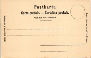 Rochers de Naye, Chemin de fer des Rochers de Naye / rack railway, train (EK)