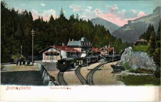 Brünigbahn, Station Brünig / railway station on the Brünig railway line, locomotive, train (wet corn...