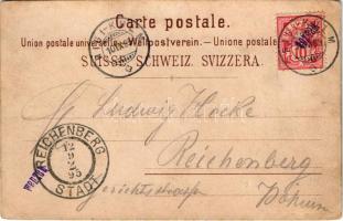 1895 Rigi, Schreiber's Rigi-Kulm Hotel's, Hotel &amp; Pension Rigi-Staffel. Art Nouvea...