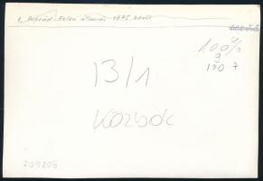 A Poprád-Felka (Szlovákia) vasútállomás 1875 körül hátoldalon feliratozott reprodukciós fotó, 11,5×1...