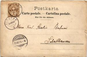 1893 Vitznau, Herzlichen Glückwunsch zum Jahreswechsel / rack railway station, general view. Art Nou...