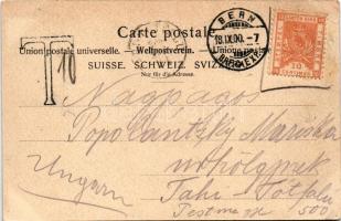 1900 Bern, Panorama, Parlamentsgebäude / general view, parliament building (EB)