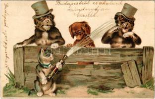 1901 Dogs and a cat art postcard. Emb. litho