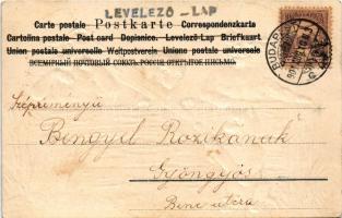 1901 Dogs and a cat art postcard. Emb. litho