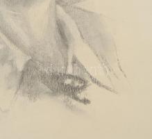 Jelzés nélkül: Lányka. Ceruza, papír. Lapszéli apró szakadással. 64,5x48,5 cm