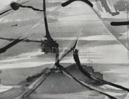 Olvashatatlan jelzéssel: Fekvő női akt. Tus, papír. 38x66 cm