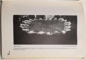 Moholy-Nagy László: Painting, Photographay, Film. London, 1969, Lund Humphries. könyvtári pecséttel,...