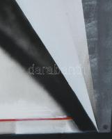 Koppány Attila (1947-): Hommage a Erdős János 2. Akril, vászon. Jelzett a hátoldalán. Kiállítva: Szé...