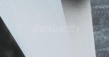 Koppány Attila (1947-): Hommage a Erdős János 2. Akril, vászon. Jelzett a hátoldalán. Kiállítva: Szé...