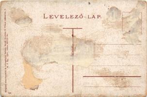 Kárpátok, Karpaten, Carpathian mountains; patak. Meisels Bernát, K. J. Bp. 1917/21. / creek (Rb)