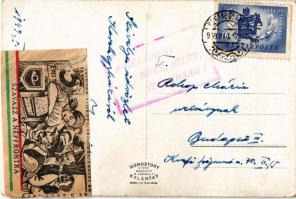 1949 Kerekegyháza (Kecskemét), Dr. Farkas Zoltánné kastélya és park részlet, hátoldalon "Szavaz...