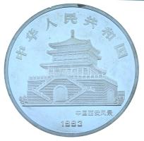 Kína 1993. "A kakas éve" kétoldalas, ezüstözött fém érem kapszulában (70mm) T:AU (eredetil...