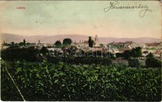 1909 Kézdivásárhely, Targu Secuiesc; látkép. Turóczi István kiadása / general view (EB)