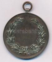 1920 k. "1896 - Vándor Kedv Kerékpárkör - Budapest" bronz kerékpáros díjérem, füllel (38mm...