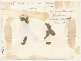 1936 Bucharest, Bukarest, Bucuresti, Bucuresci; a román labdarúgó-válogatott tagjai az Ismeretlen ka...