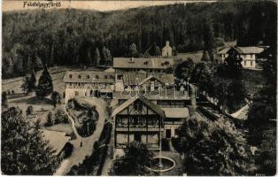 1918 Feketehegy-fürdő, Feketehegy, Schwartzenberg, Cernohorské kúpele (Merény, Vondrisel, Nálepkovo); látkép, villák / general view, villas (r)