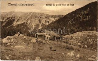 Zernest, Zernyest, Zarnesti; Zenoga cu piatra mare si mica / látkép hegycsúcsokkal. V. Gregorsch Fotograf / general view with mountain peaks (EB)