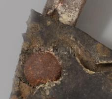 Gyógynövény mintával festett tányér garnitúra, jelzés nélkül, 6 darab, hibátlan, d: 20 cm