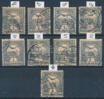 1900 Turul 9 db 1f 4 féle vízjelállás, 4 féle számvízjel és gyári csillagidommal stecklapon