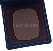 Ausztria / Bécs DN "Verein Österreichischer Giessereifachleute - Wien / Anerkennungs zeichen de...