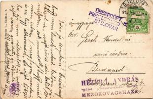 1916 Belovár, Bjelovar; Kr. sudbeni stol / bíróság. Vasúti levelezőlapárusítás 612. / court (fl)