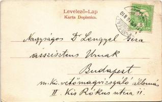 1911 Senj, Zengg; látkép / general view (kis szakadás / small tear)