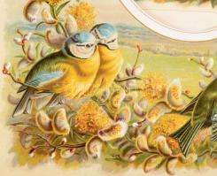 ca 1890 5 db Litho fényképtartó, vizitkártya és kabinetfotó paszpartu litográfált képekkel. Lapméret...