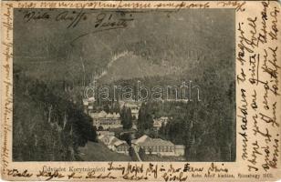 1907 Koritnyica, Korytnica; látkép. Kohn A. kiadása / general view (EB)