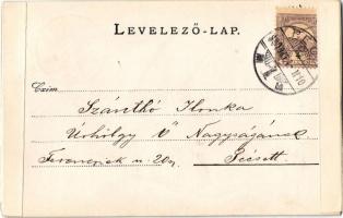 1900 Bernina Range, Morteratsch Gletscher / glacier. photo (glue marks)