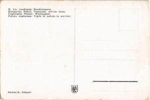 M. kir. Rendőrség - Rendőrőrszem. Stádium Rt. / Hungarian police art postcard, constable service dre...